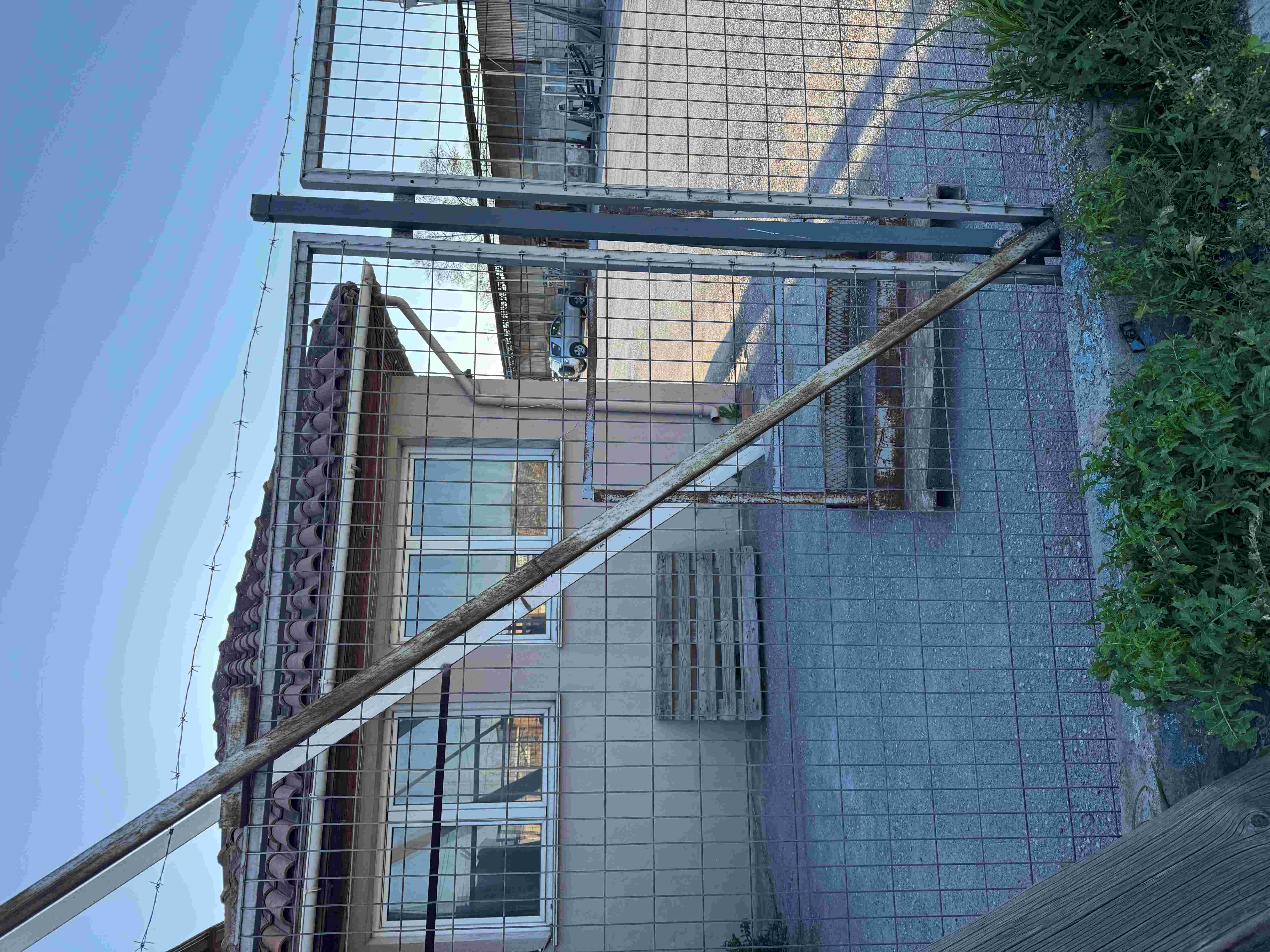 photo1