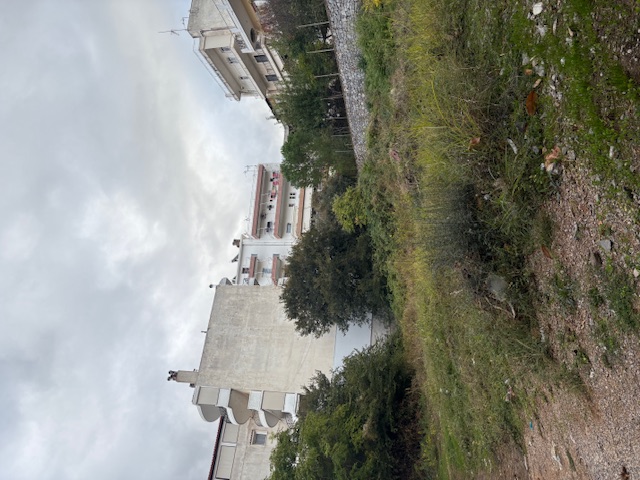 photo2