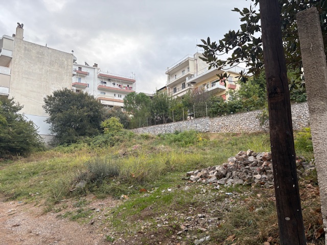 Οικόπεδο  σε πλειστηριασμό Δήμος Λεβαδέων