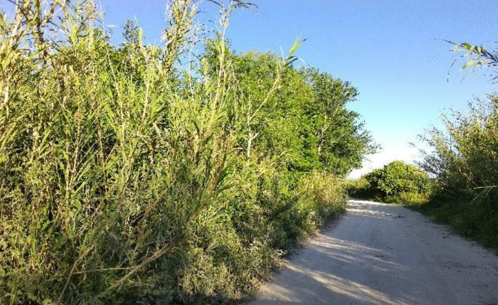 photo1