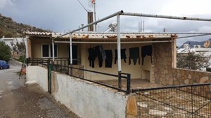 photo1