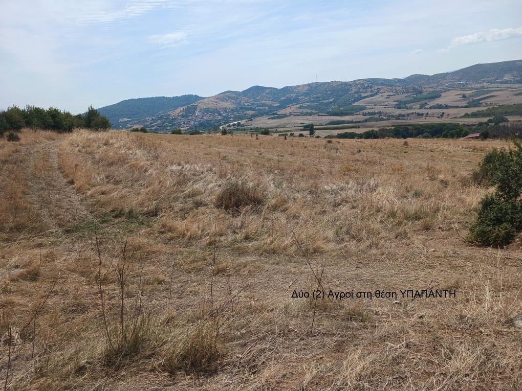 photo1