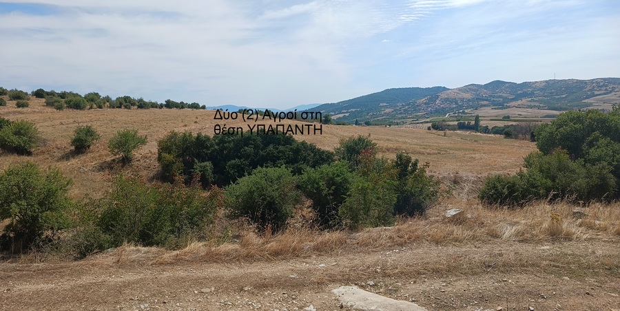 Αγροτεμάχιο 0 sq.m. σε πλειστηριασμό Municipality of Elassona