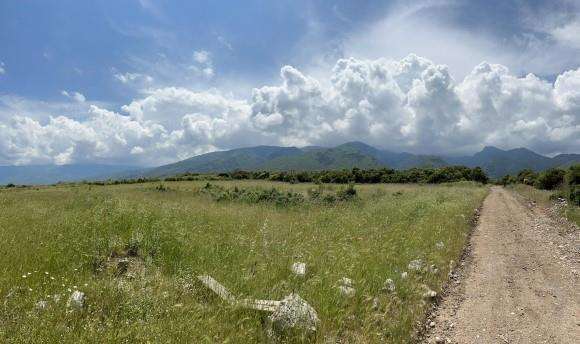 Αγροτεμάχιο 0 sq.m. σε πλειστηριασμό Municipality of Dion - Olympus