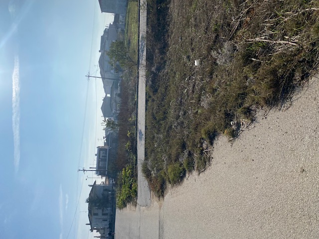 photo1