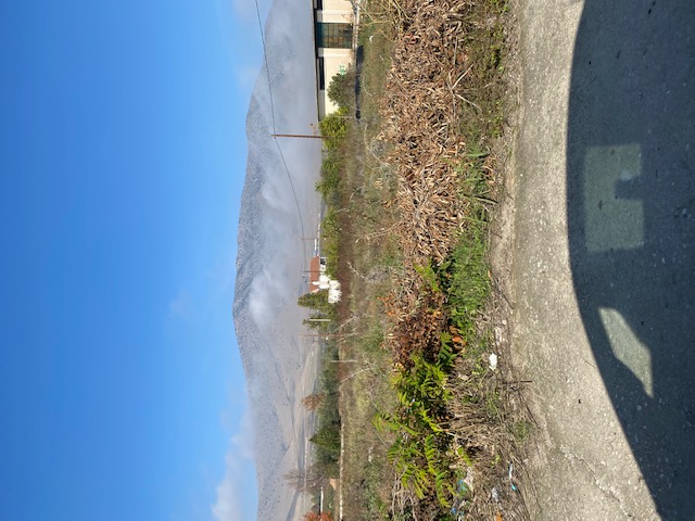 photo3