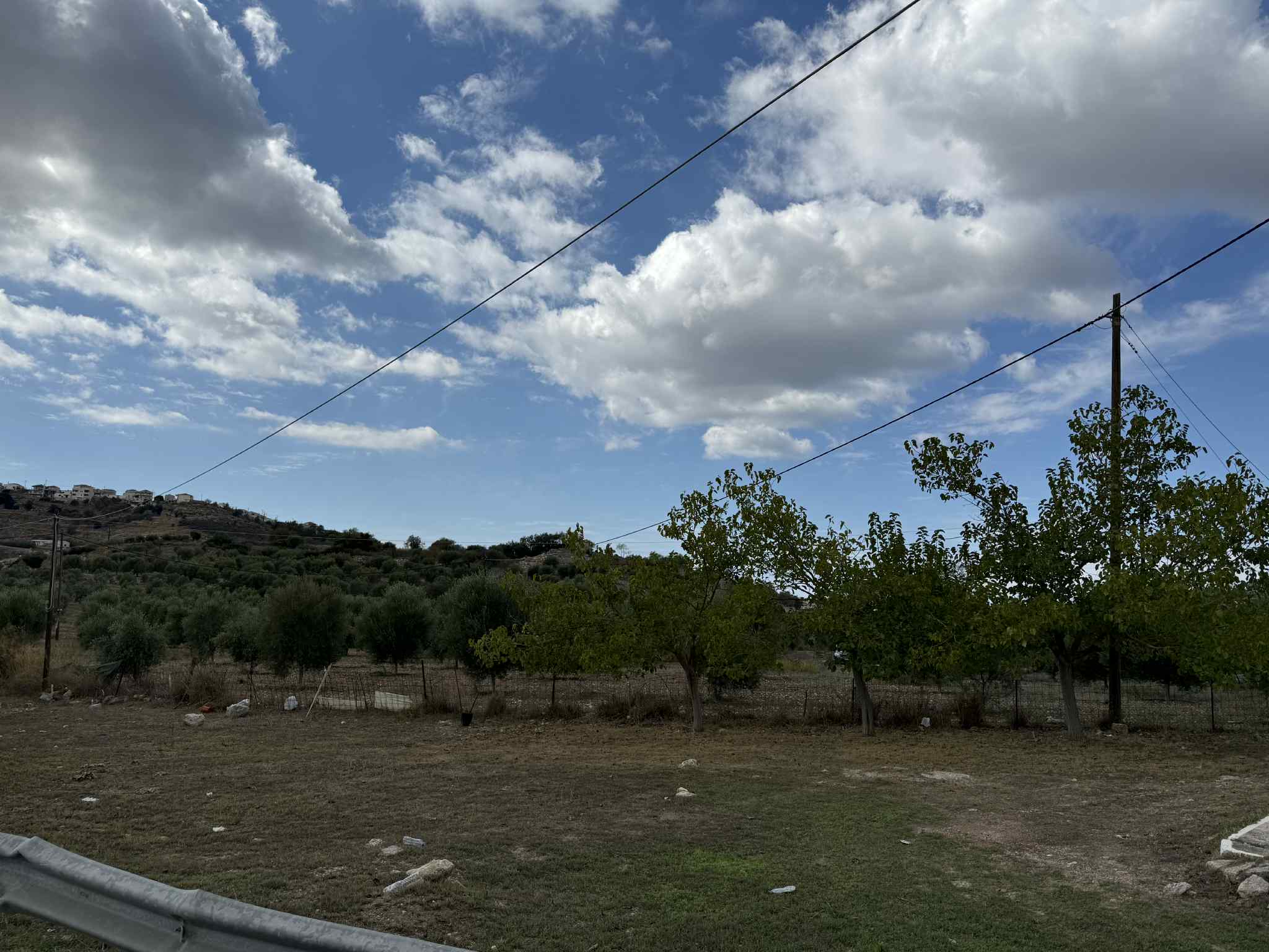 Αγροτεμάχιο  σε πλειστηριασμό Δήμος Ερμιονίδας