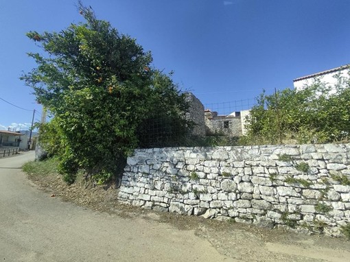 photo4