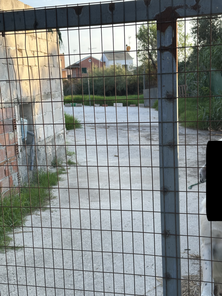 photo2