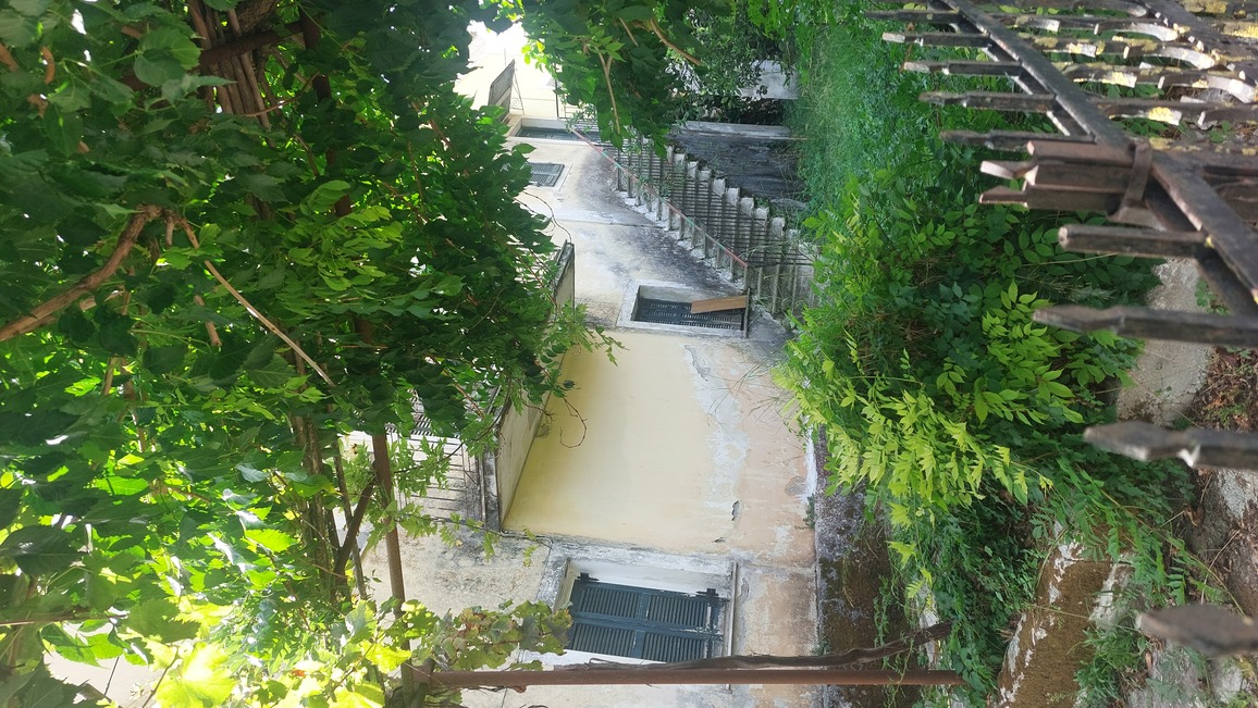photo1