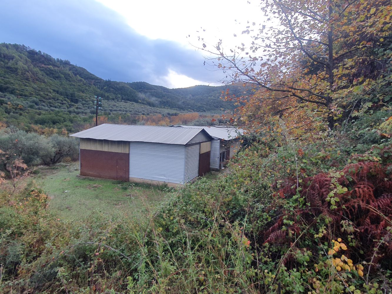 photo3