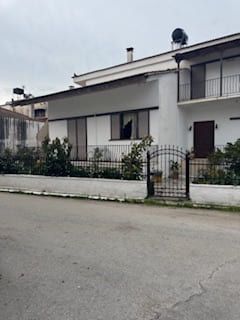 photo5