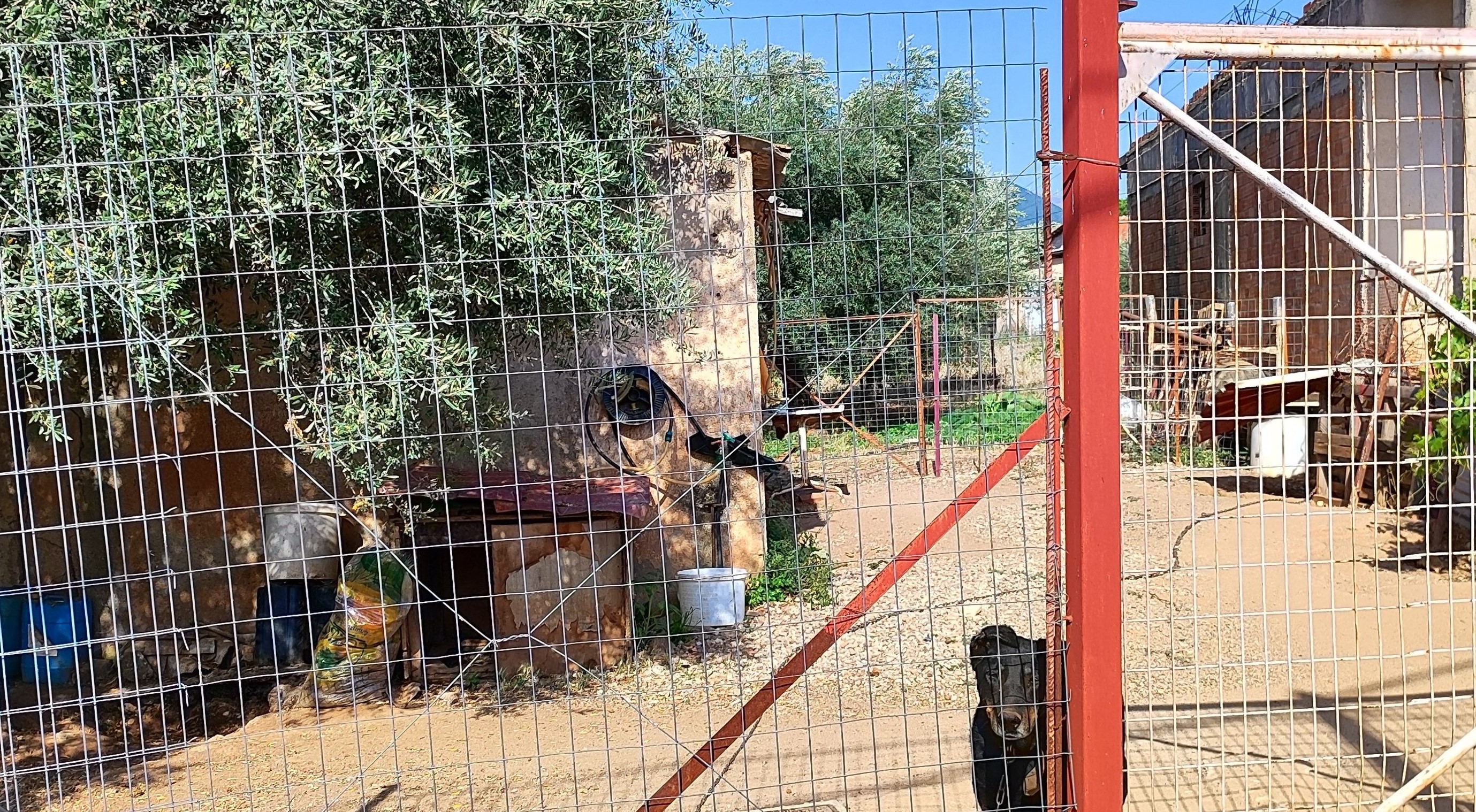 Οικόπεδο με κτίσμα  σε πλειστηριασμό Δήμος Αιγιαλείας