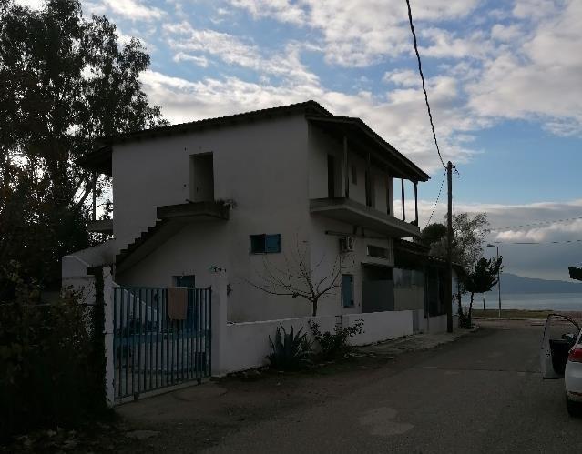 photo0