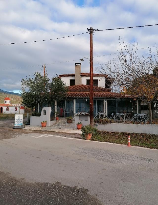 photo1