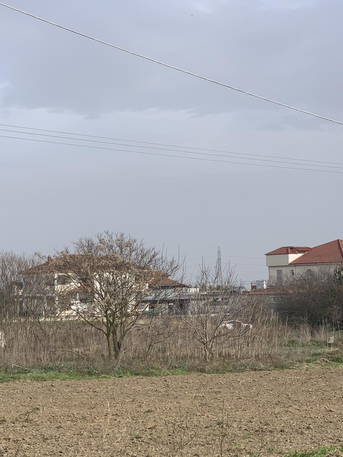 photo0