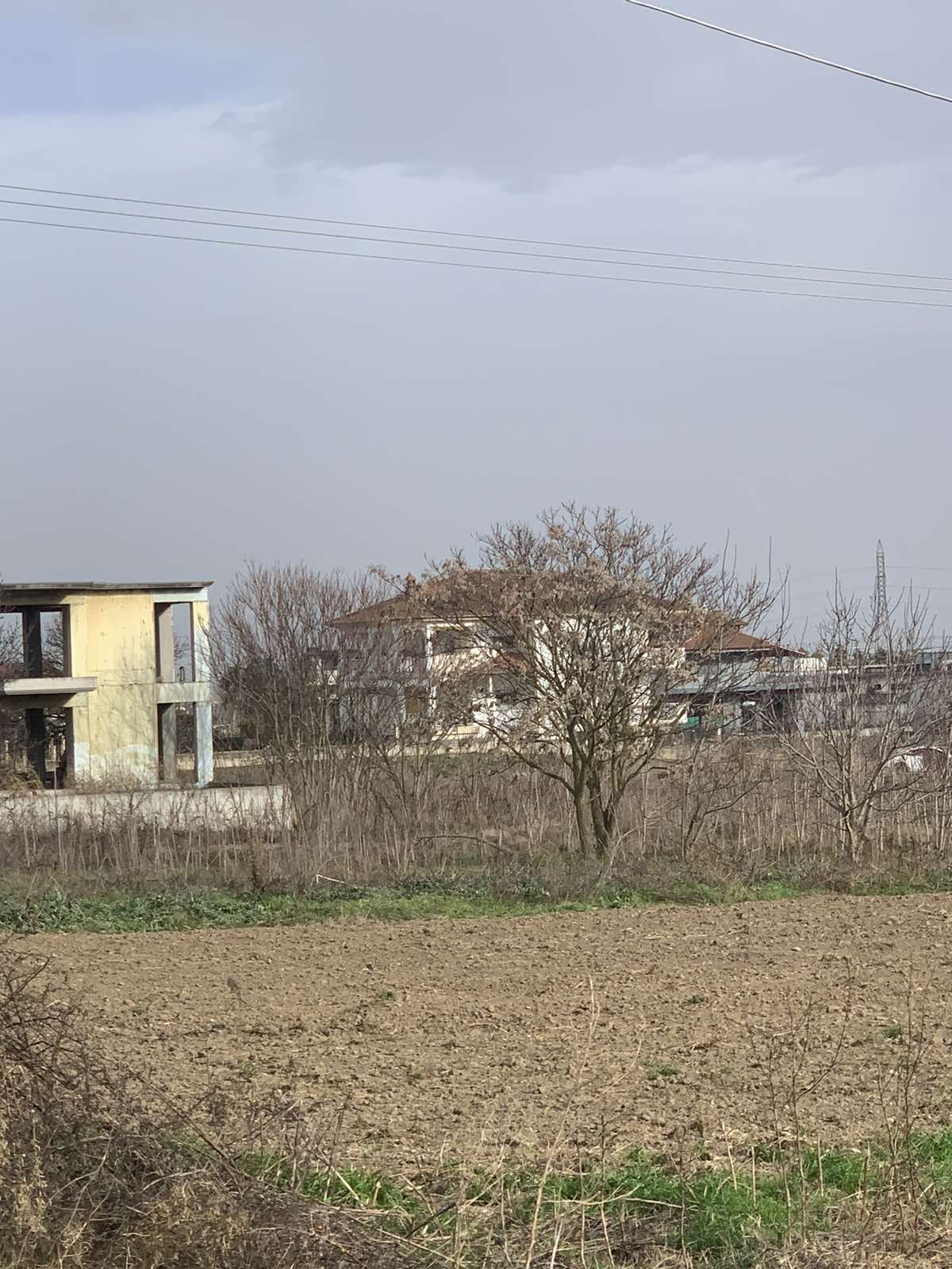 photo1