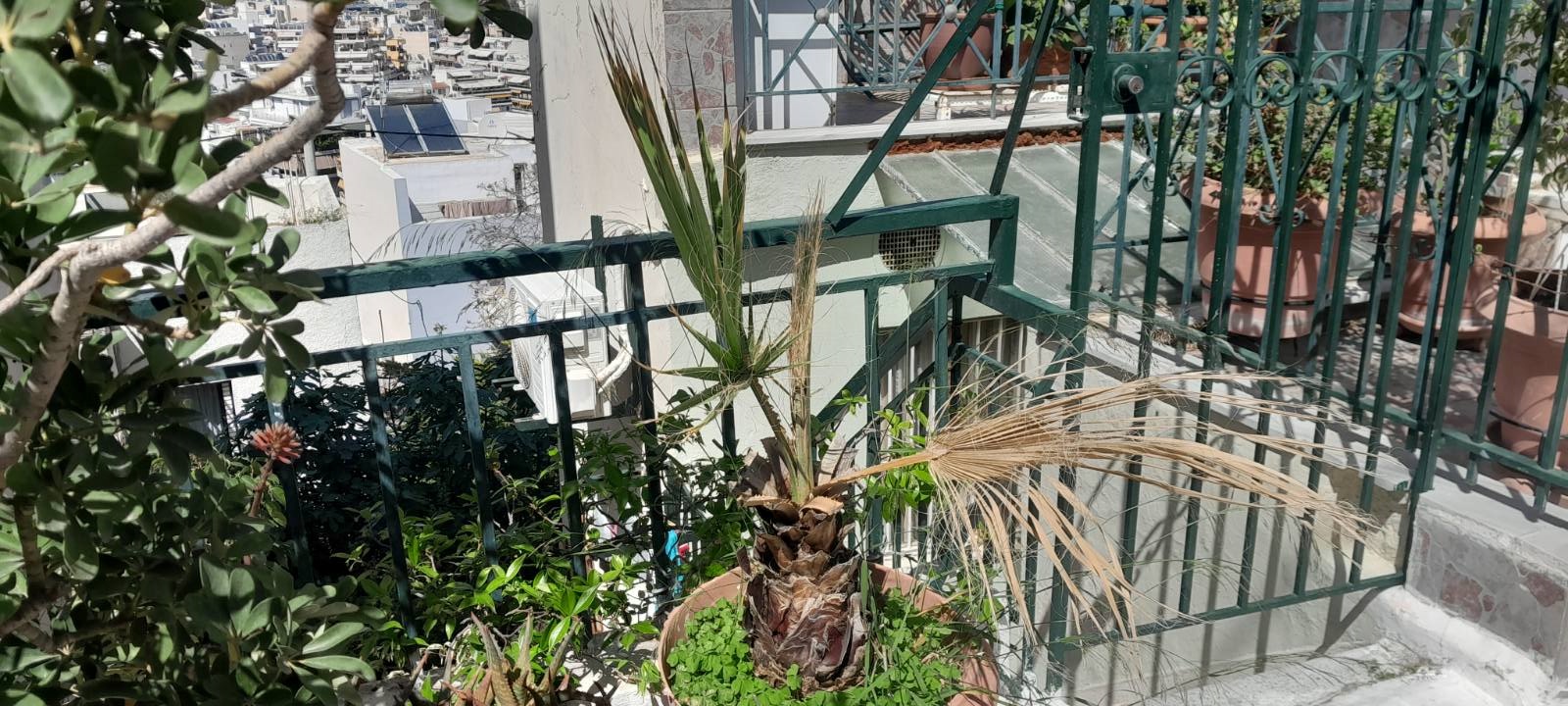 Κατοικία  σε πλειστηριασμό Δήμος Πειραιώς