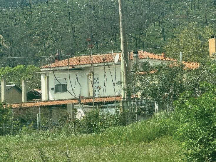 photo1