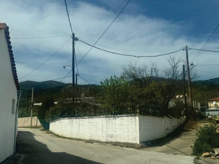 photo2