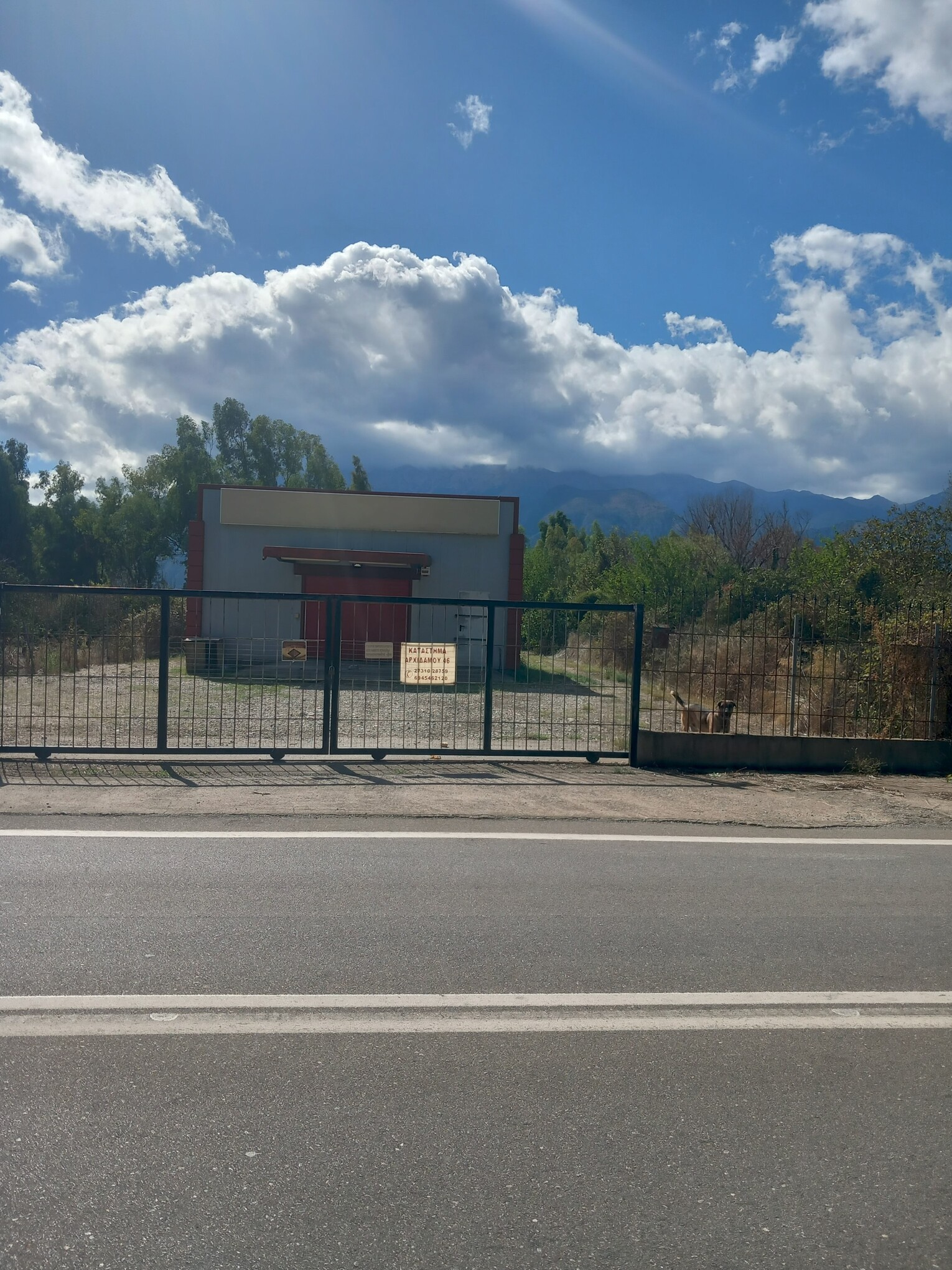 photo3