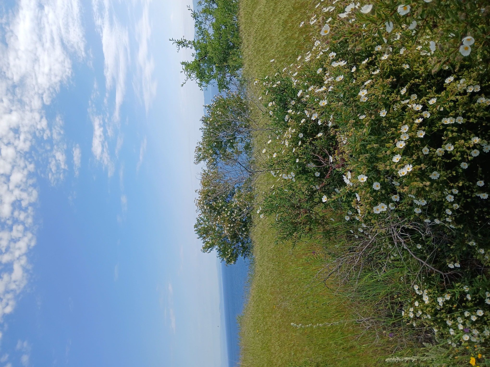 photo1