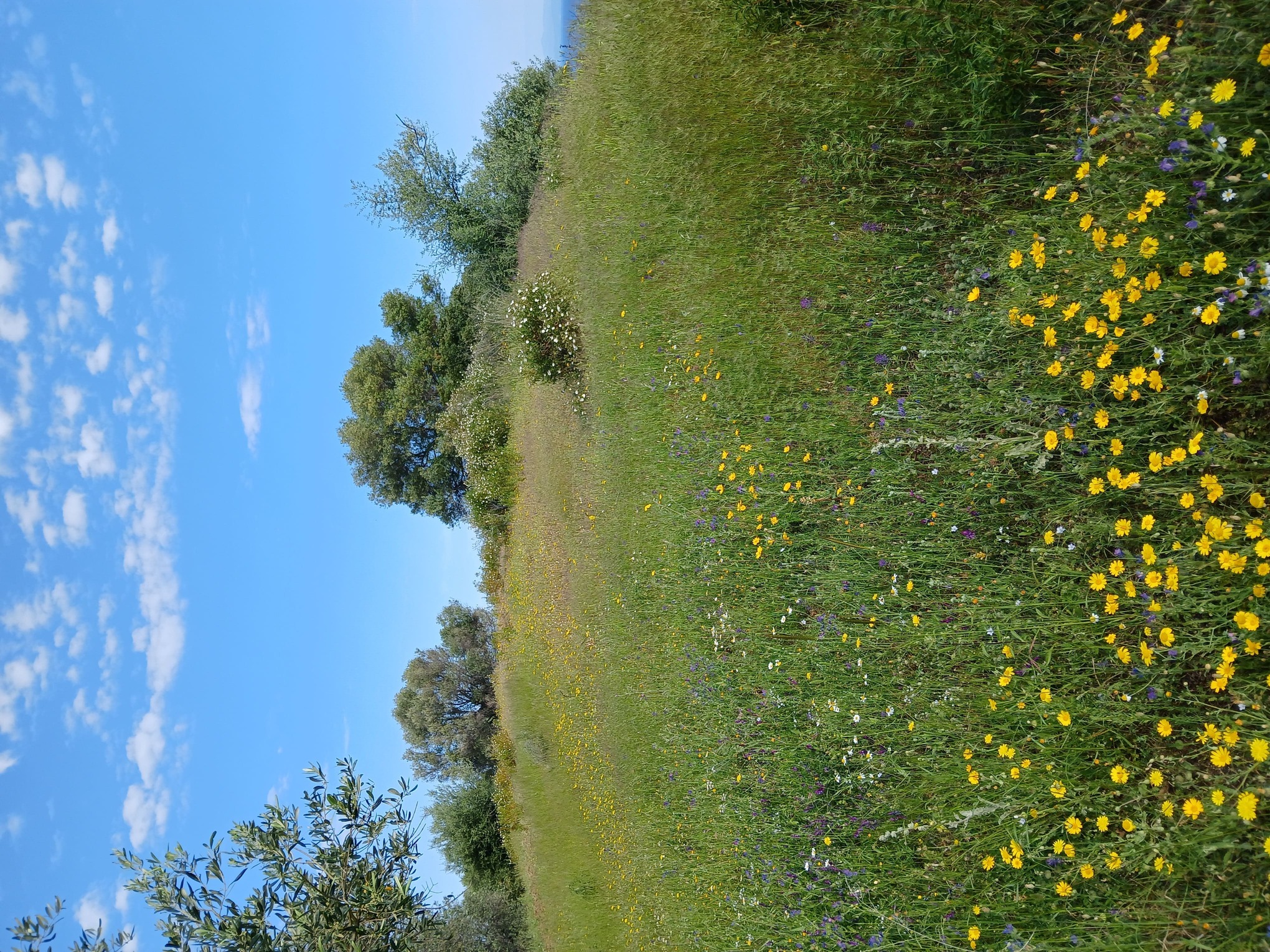 photo2