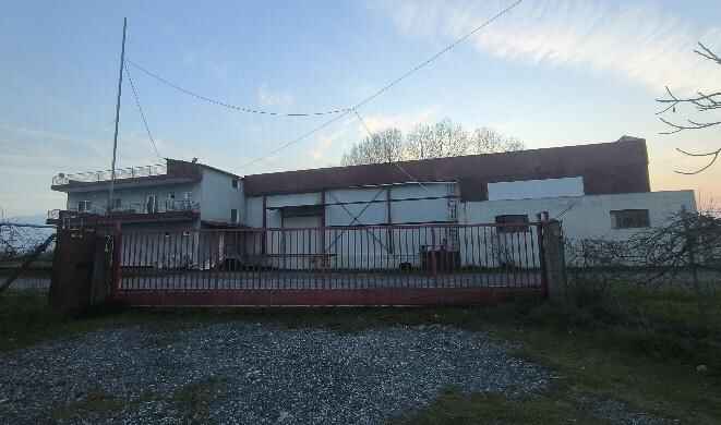 photo2