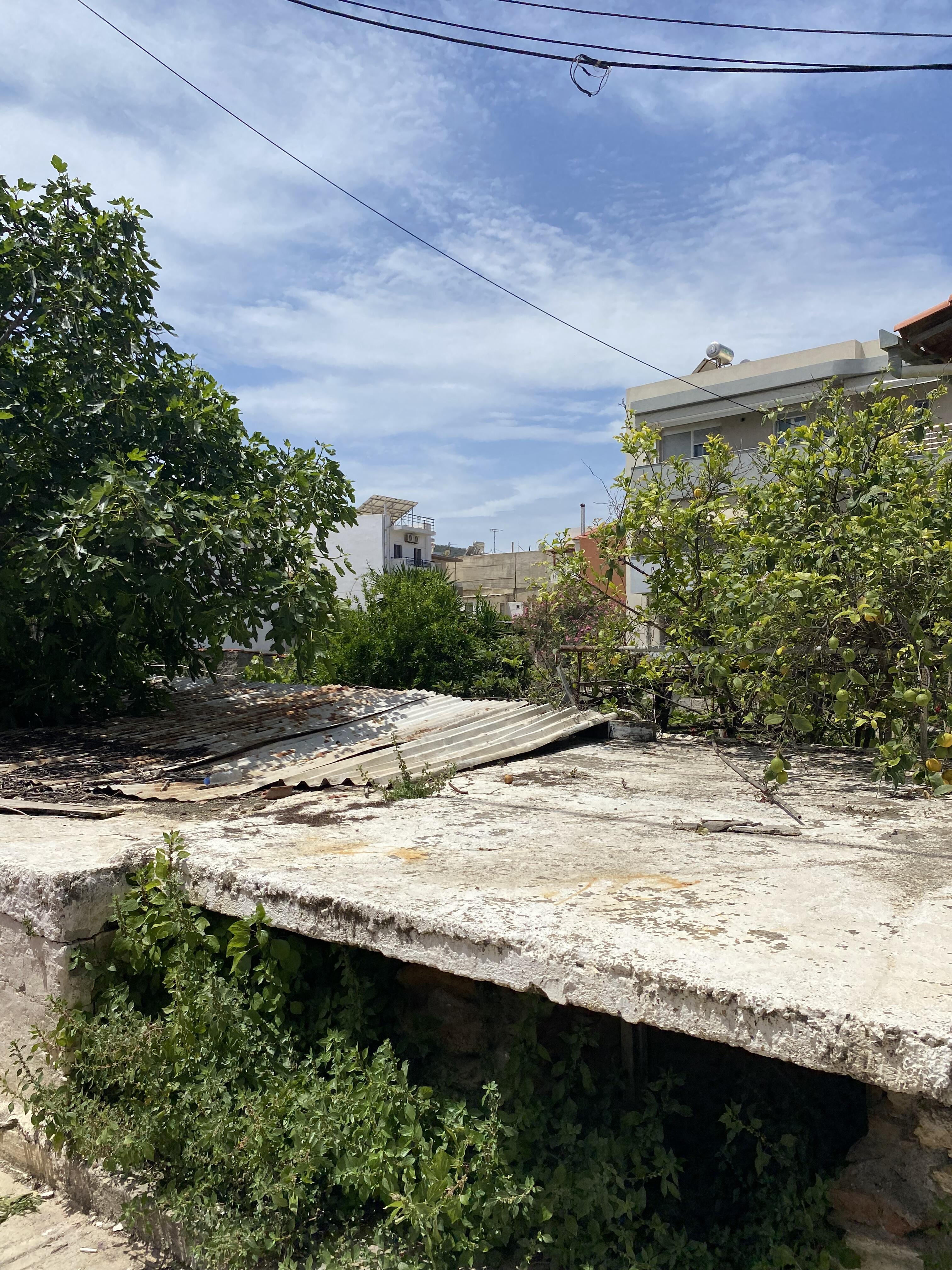 photo1