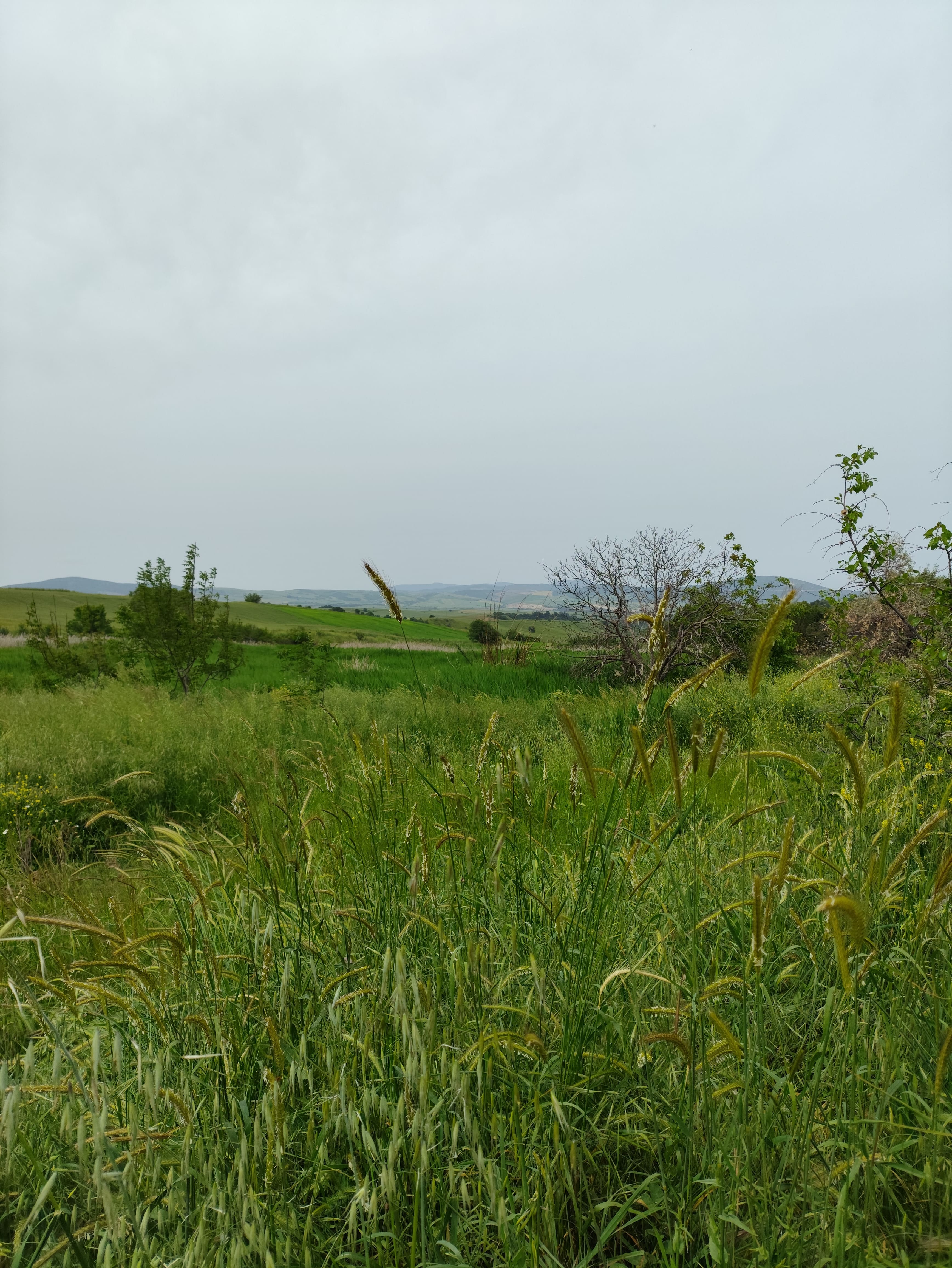 photo1