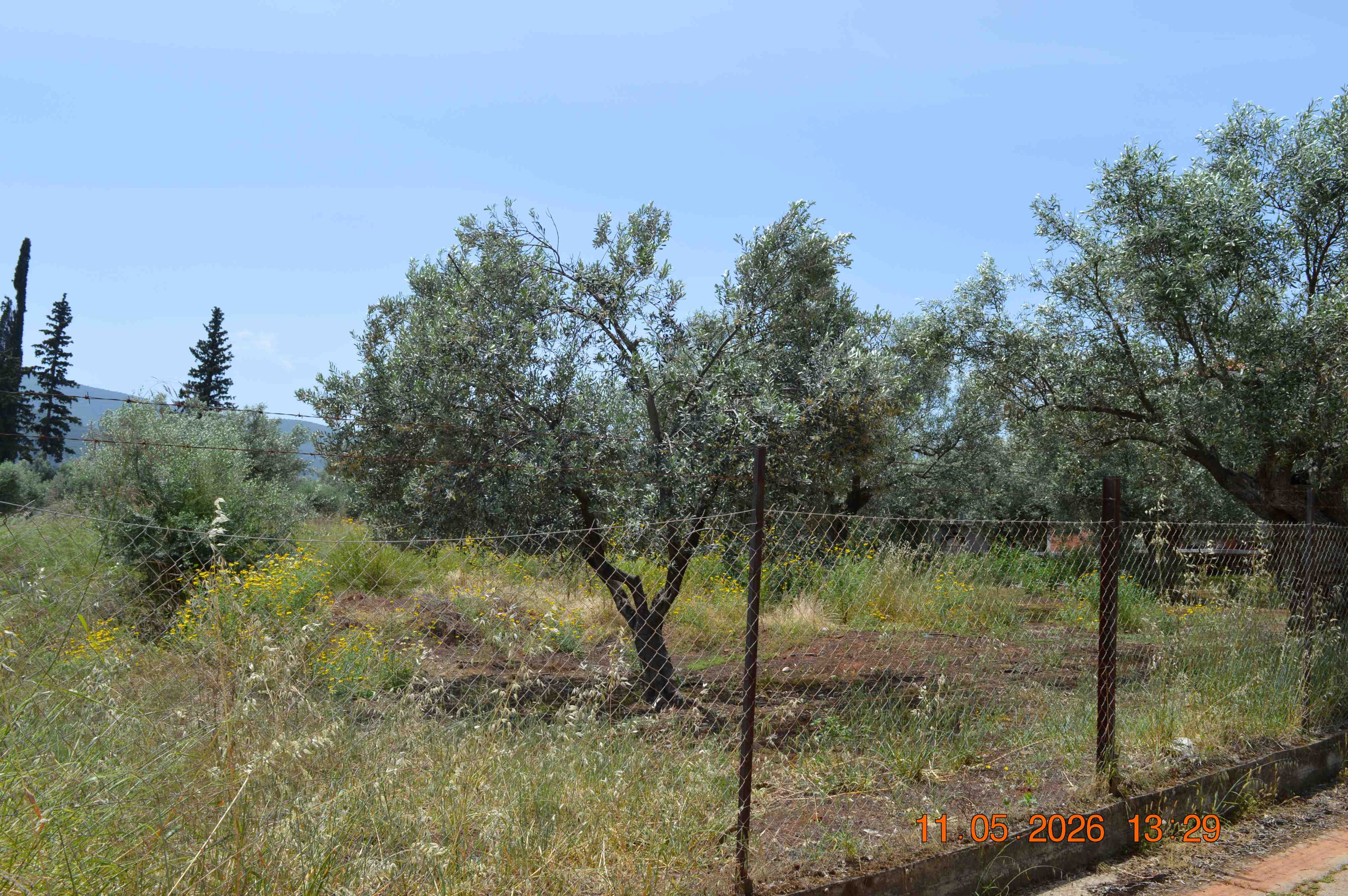 photo1