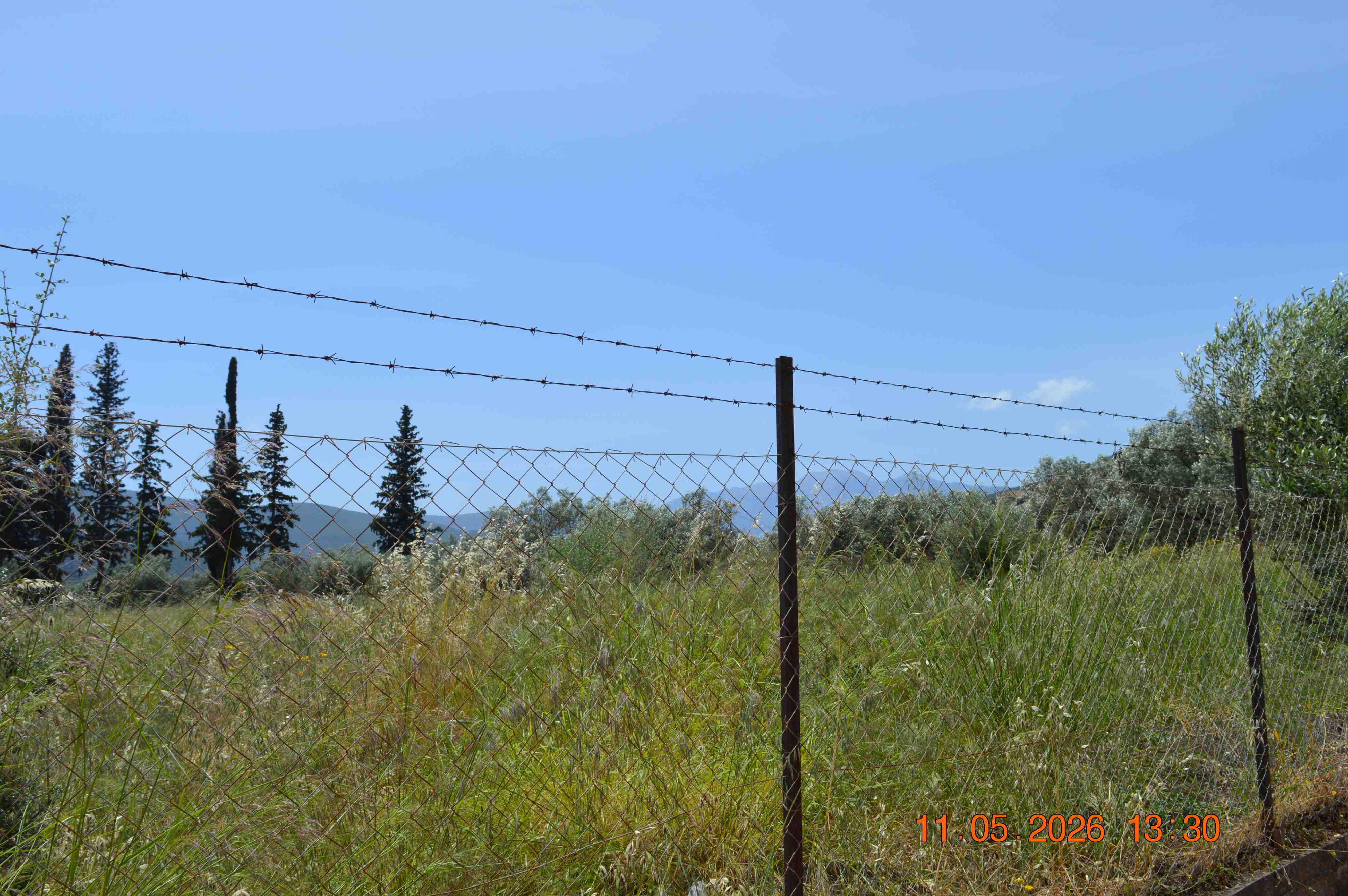 photo2