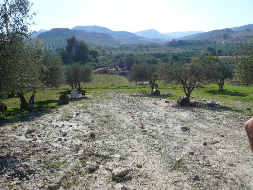 Οικόπεδο  σε πλειστηριασμό Δήμος Αρχανών - Αστερουσίων