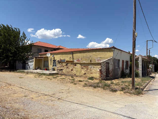 photo1
