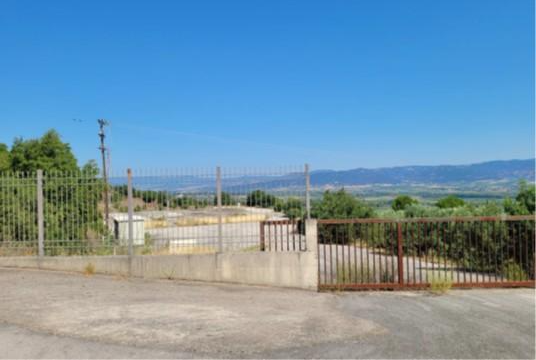 photo0