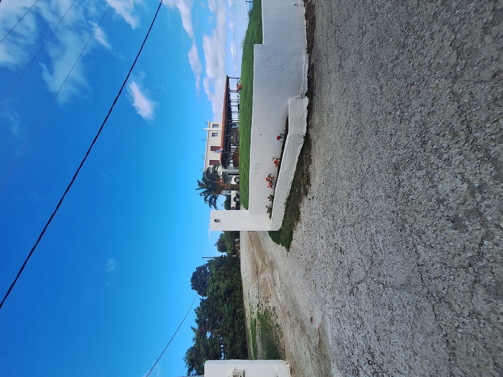photo2