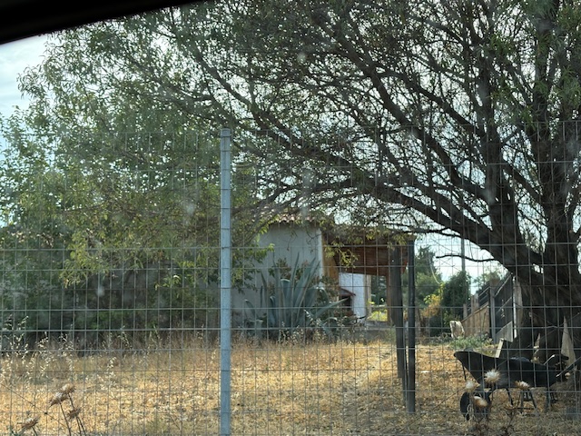 photo0