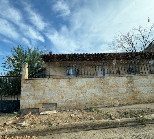photo1