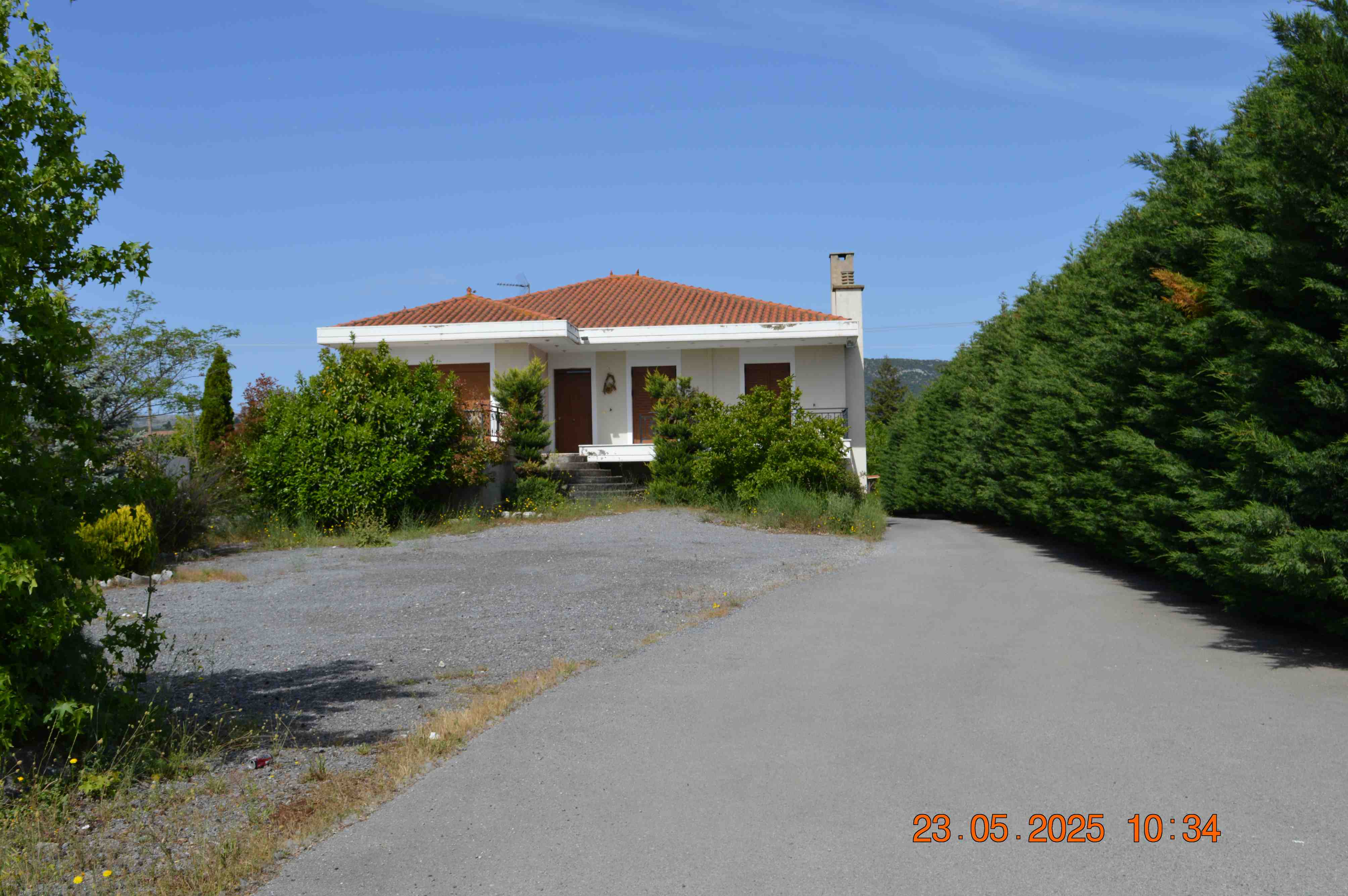 photo1