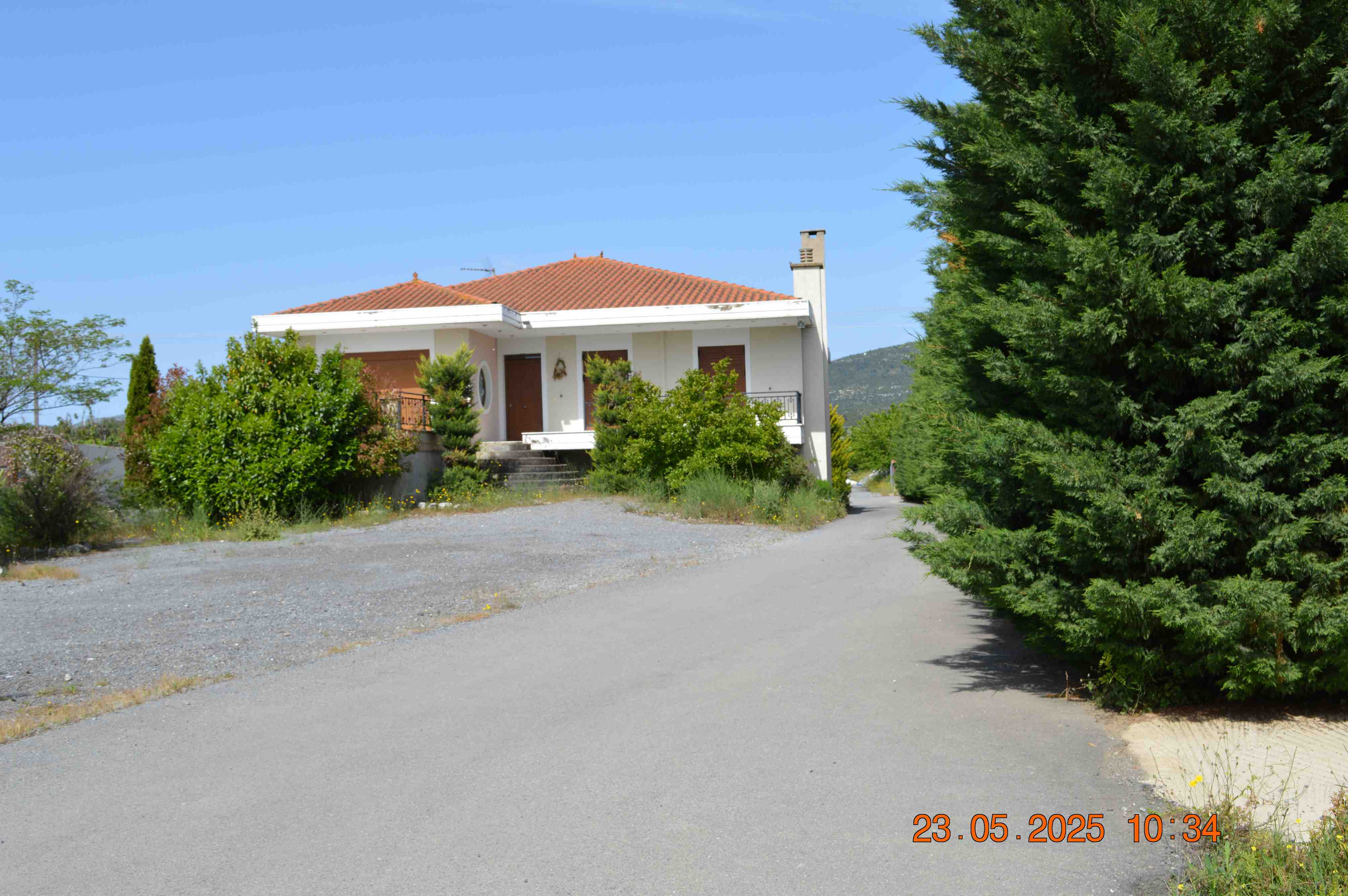 photo2