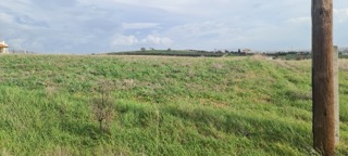 photo0