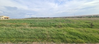photo1
