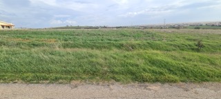 photo2