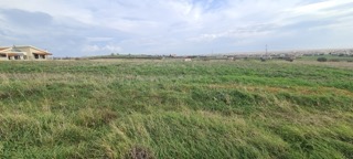 photo4