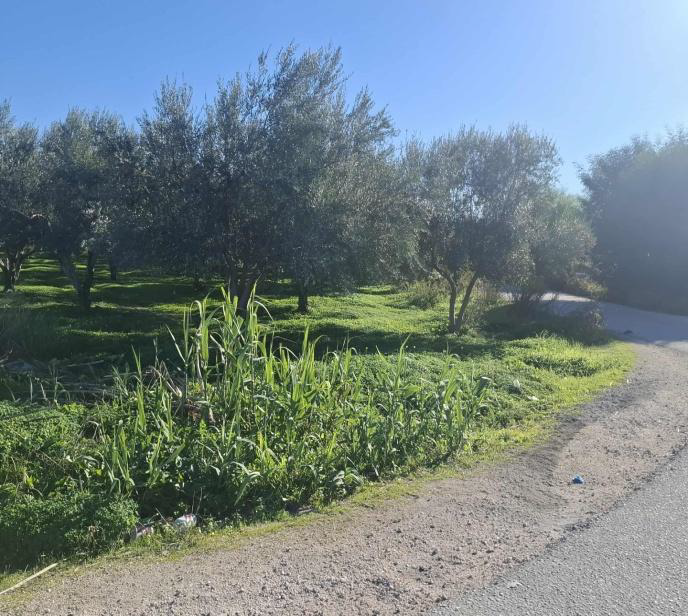 Οικόπεδο 256.56 τ.μ. σε πλειστηριασμό Δήμος Βέλου - Βόχας
