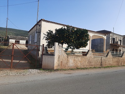photo1