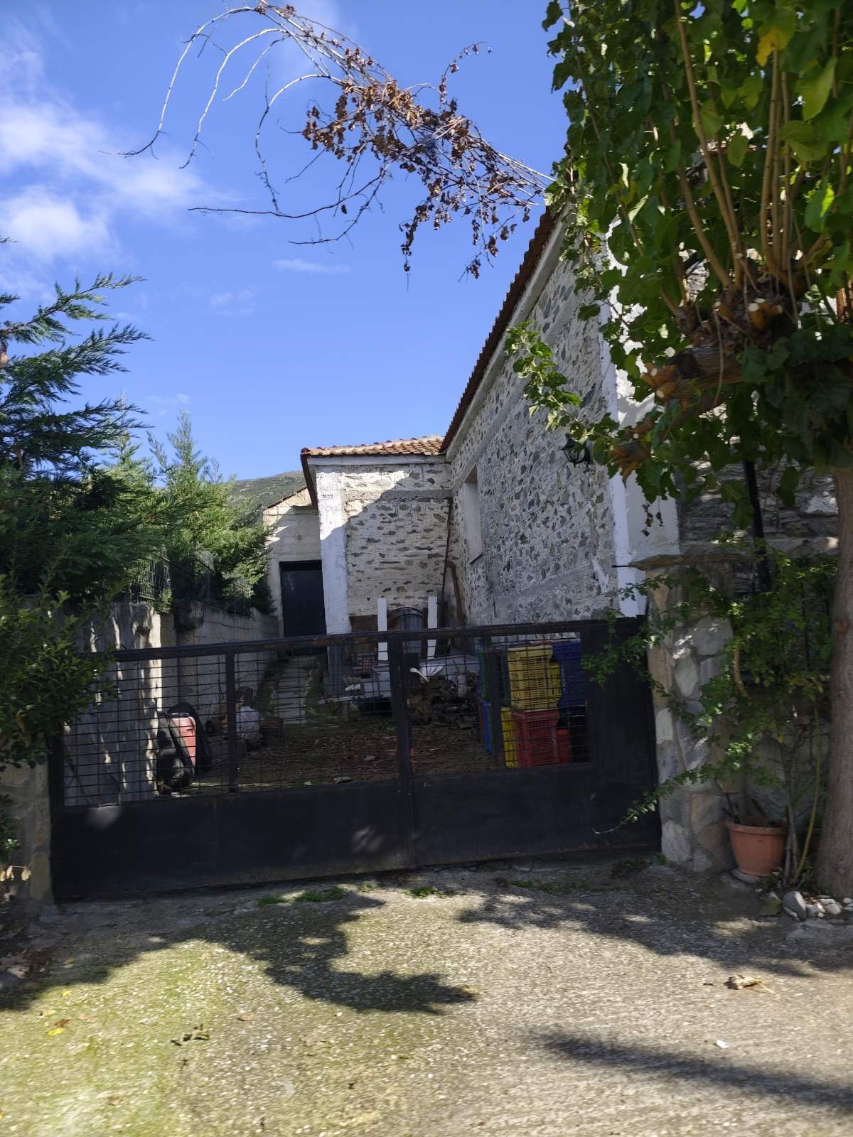 photo0