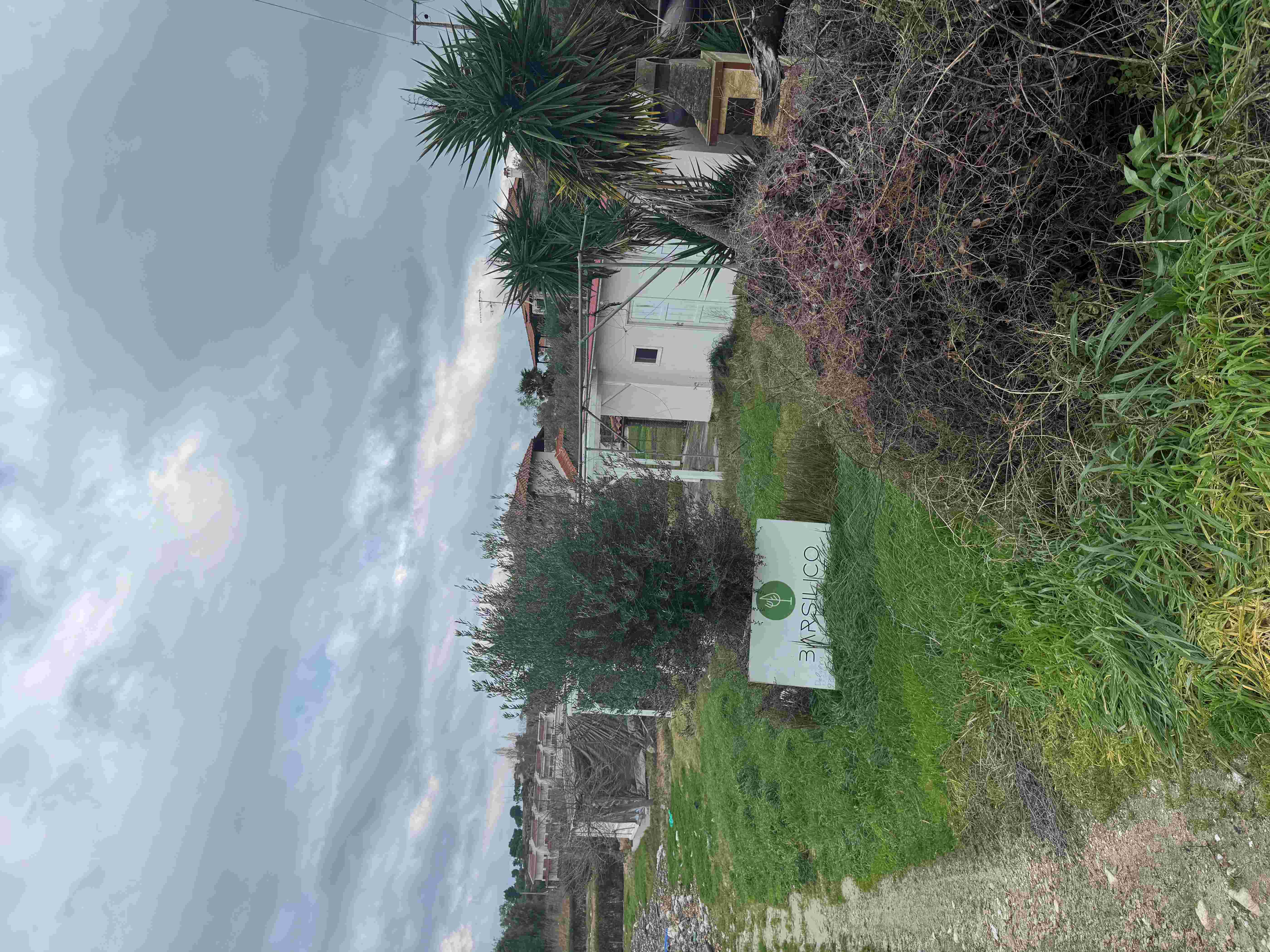 photomain
