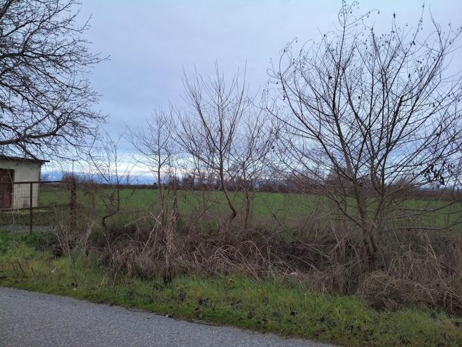 photo1