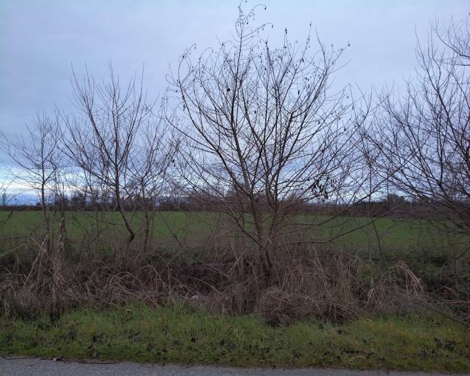 photo3